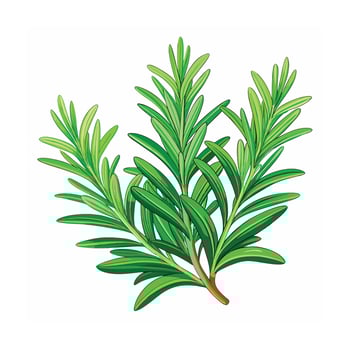 Realistic Beautiful Herbs Illustration vector