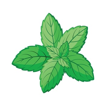 Realistic Beautiful Herbs Illustration vector