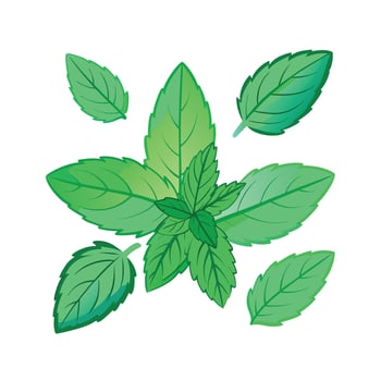 Realistic Beautiful Herbs Illustration vector