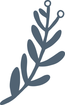 Simplicity floral freehand drawing flat design. png