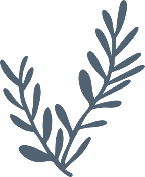 Simplicity floral freehand drawing flat design. png