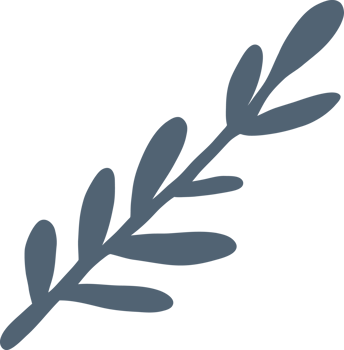 Simplicity floral freehand drawing flat design. png