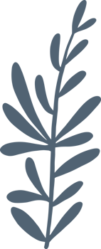 Simplicity floral freehand drawing flat design. png