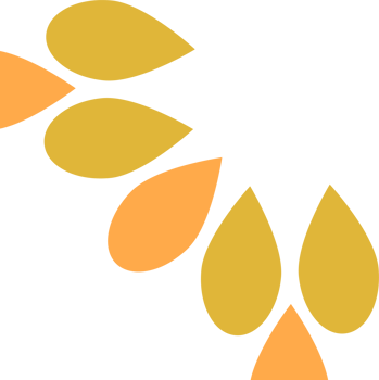 flower petal frame corner decoration png