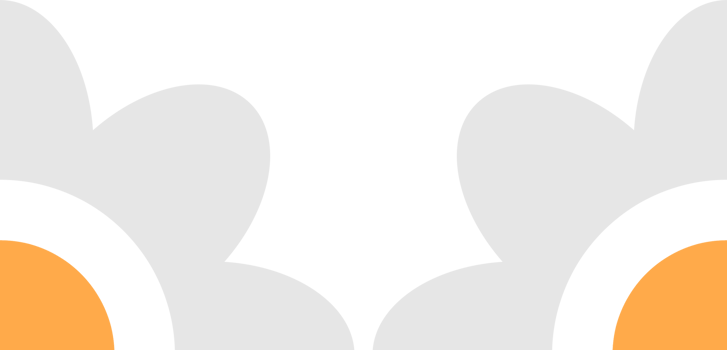 flower petal frame decoration png