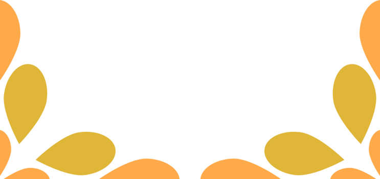 flower petal frame decoration png