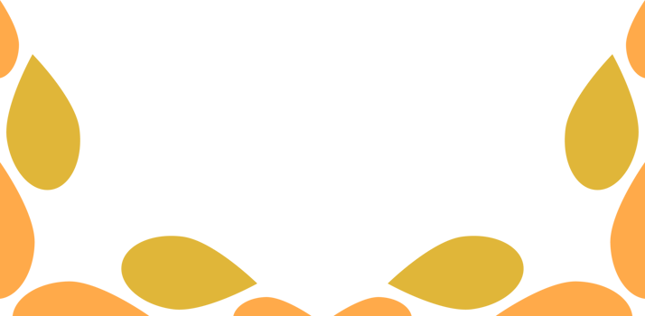 flower petal frame decoration png