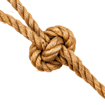 Rope knot isolated on a transparent background png