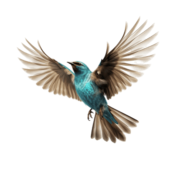 flying bird isolated against transparent background png