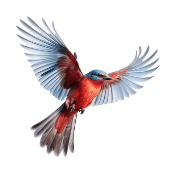 flying bird isolated against transparent background png