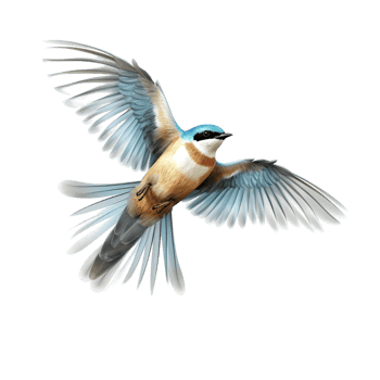 flying bird isolated against transparent background png