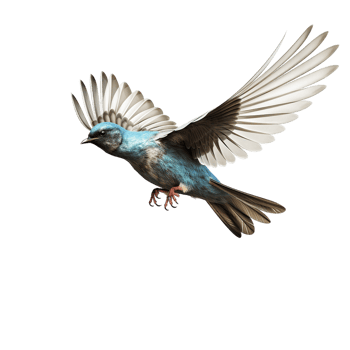 flying bird isolated against transparent background png