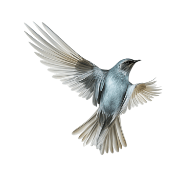 flying bird isolated against transparent background png