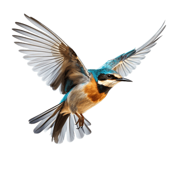 flying bird isolated against transparent background png