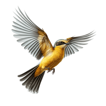 flying bird isolated against transparent background png