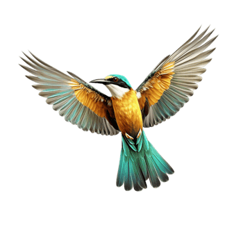 flying bird isolated against transparent background png