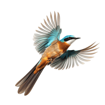 flying bird isolated against transparent background png