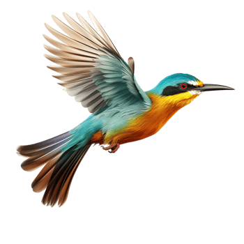 flying bird isolated against transparent background png