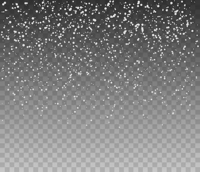 Falling snowflakes. Glitter banner vector