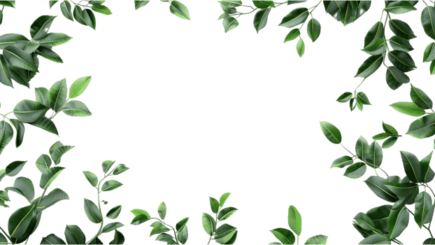 Green leaves frame isolated on a transparent background png