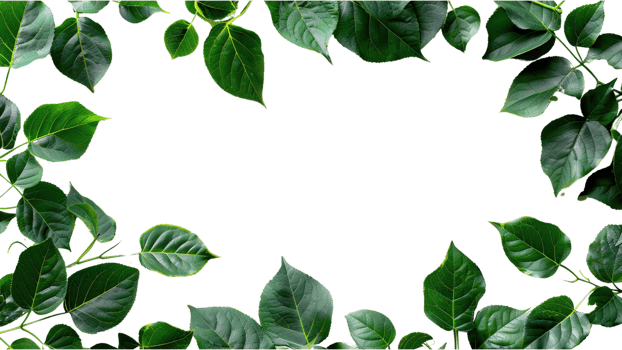 Green leaves frame isolated on a transparent background png
