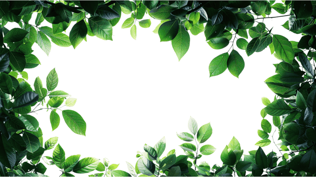 Green leaves frame isolated on a transparent background png
