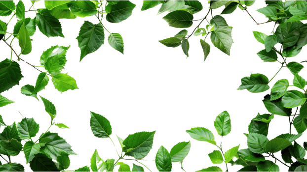 Green leaves frame isolated on a transparent background png