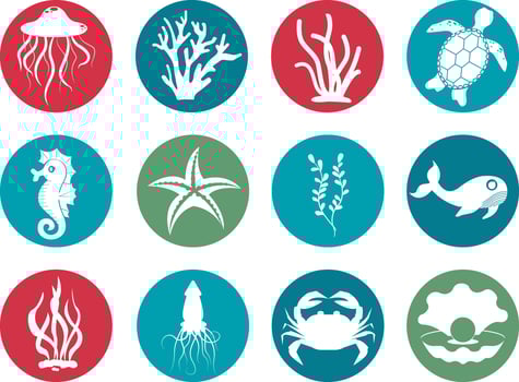 Cute sea animals icons vector