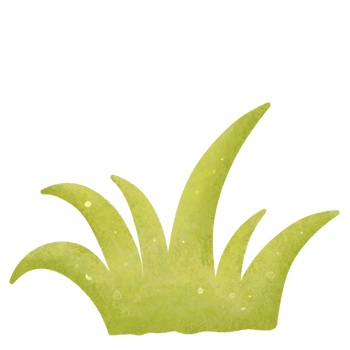 Cartoon woodland landscape, forest scene png