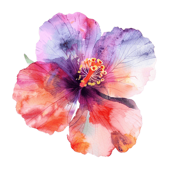 Watercolor flower isolated on transparent background png