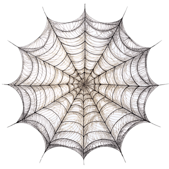 Close-up of a detailed spider web, showcasing its intricate patterns and natural artistry against a white background. png