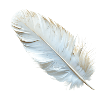Close-Up of a Delicate Feather Showing Soft and Fluffy Texture png