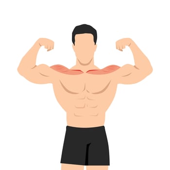 Young muscular man flexing his biceps with shoulder muscle focus. vector