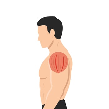 Side view of muscular man with shoulder muscle parts. vector