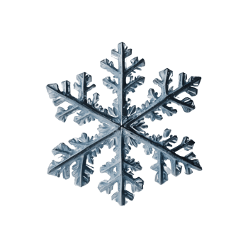 Snowflake Artistry Decorative Snowflakes Isolated on Transparent Background png