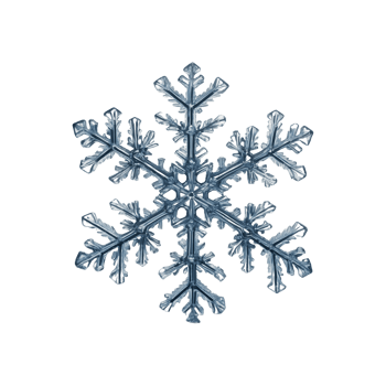 Icy Beauty Decorative Snowflakes Isolated on Transparent Background png