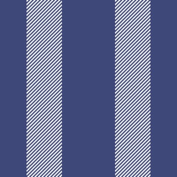 Proud textile lines background, discount seamless pattern texture. Colour stripe vertical fabric in blue and white colors. vector