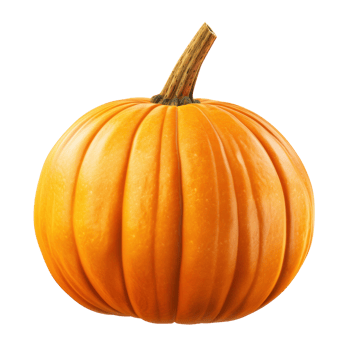 orange pumpkin on transparent background png