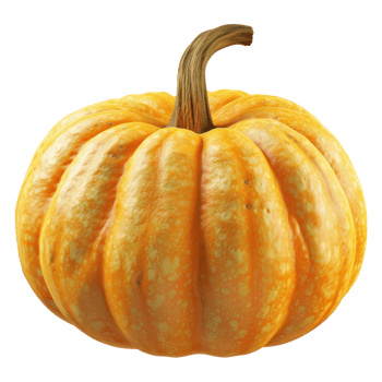 orange pumpkin on transparent background png