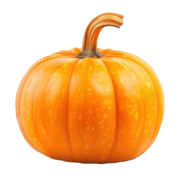 orange pumpkin on transparent background png