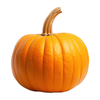 orange pumpkin on transparent background png