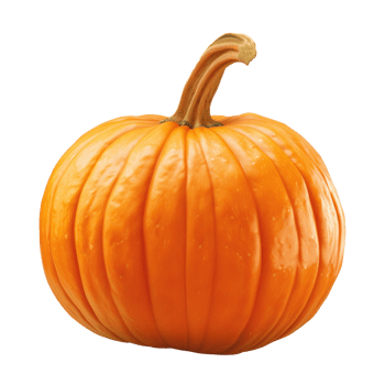 orange pumpkin on transparent background png