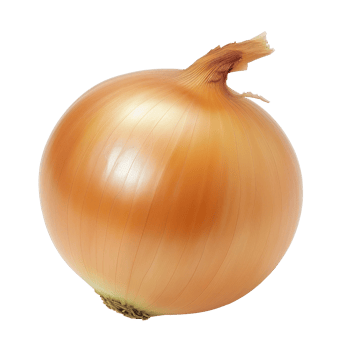an onion is shown on a transparent background png