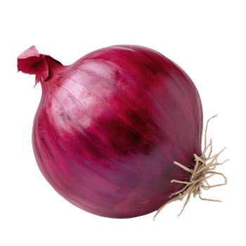 an onion is shown on a transparent background png
