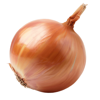 an onion is shown on a transparent background png