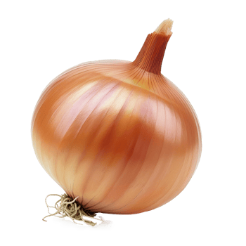 an onion is shown on a transparent background png