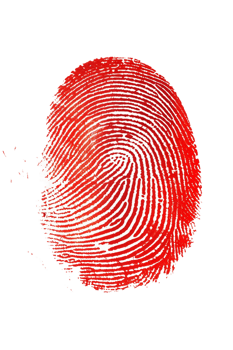 Red human fingerprint isolated on transparent background png