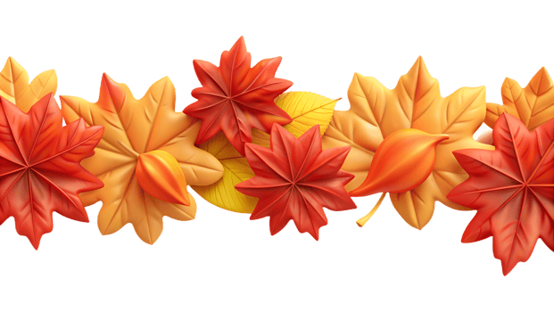 Autumn leaves border with vibrant red, orange, and yellow foliage, capturing the essence of the fall season. Perfect for seasonal designs. png