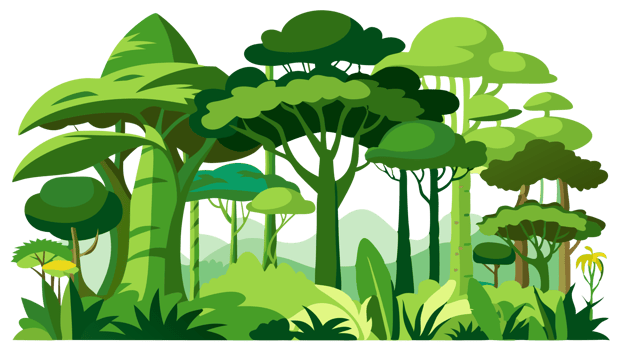 Illustration of a lush tropical rainforest with diverse green foliage and tall trees, depicting a vibrant jungle ecosystem. png