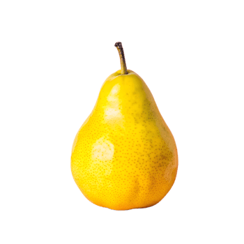 A bright yellow pear isolated on a white background, showcasing its smooth, ripe surface and leafless stem. Ideal for food, nutrition, and health concepts. png